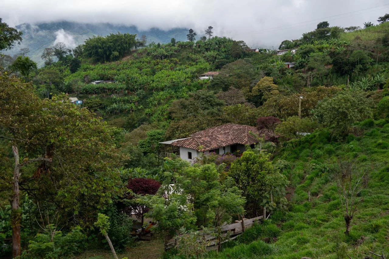 Unsere Kaffeefarm Finca La Esperanza